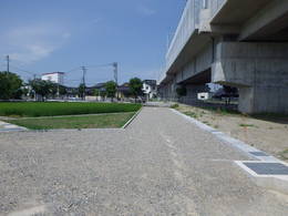 IMGP1348.JPG